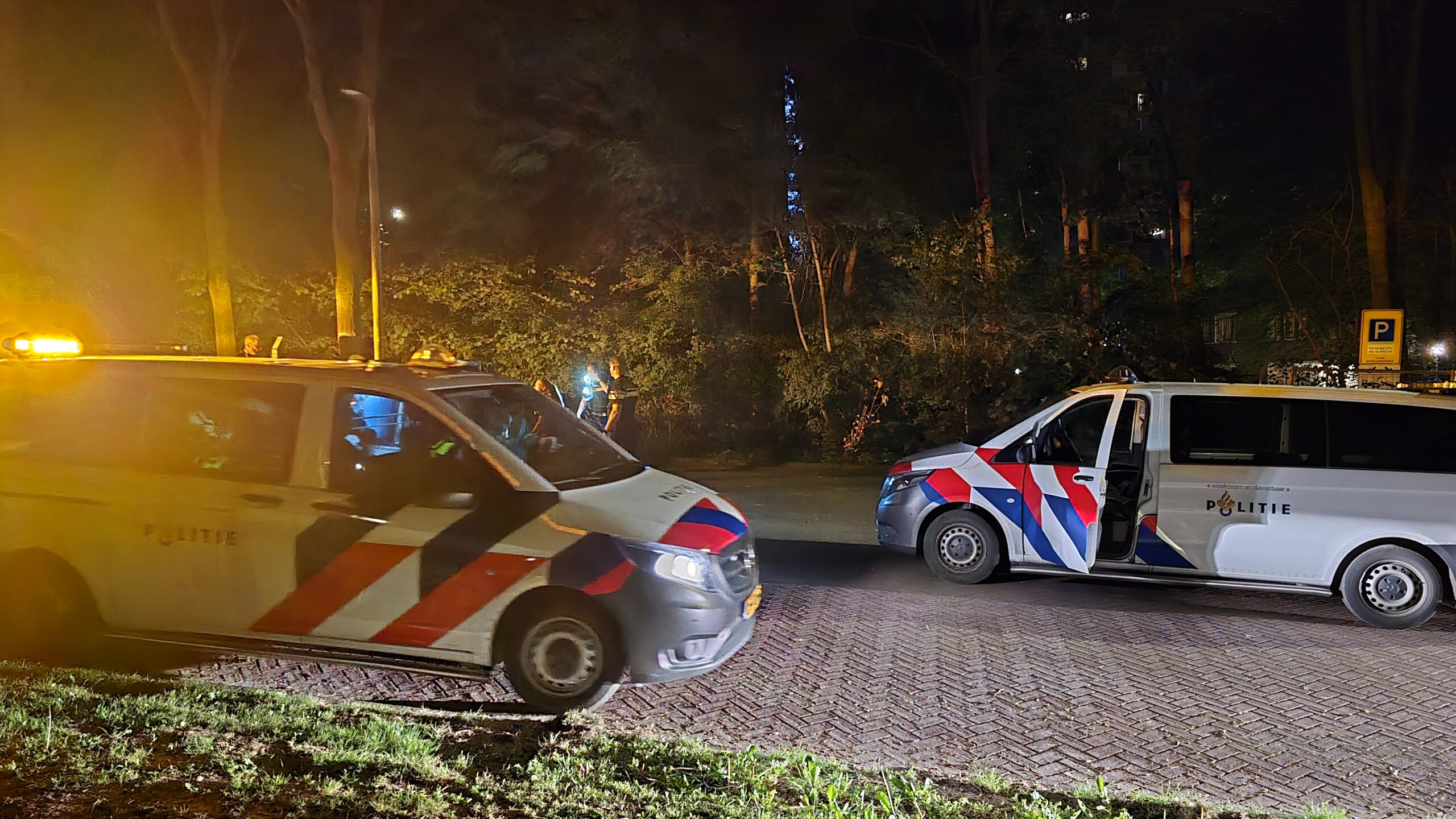 Steekpartij Rietvoornstraat Hoogvliet