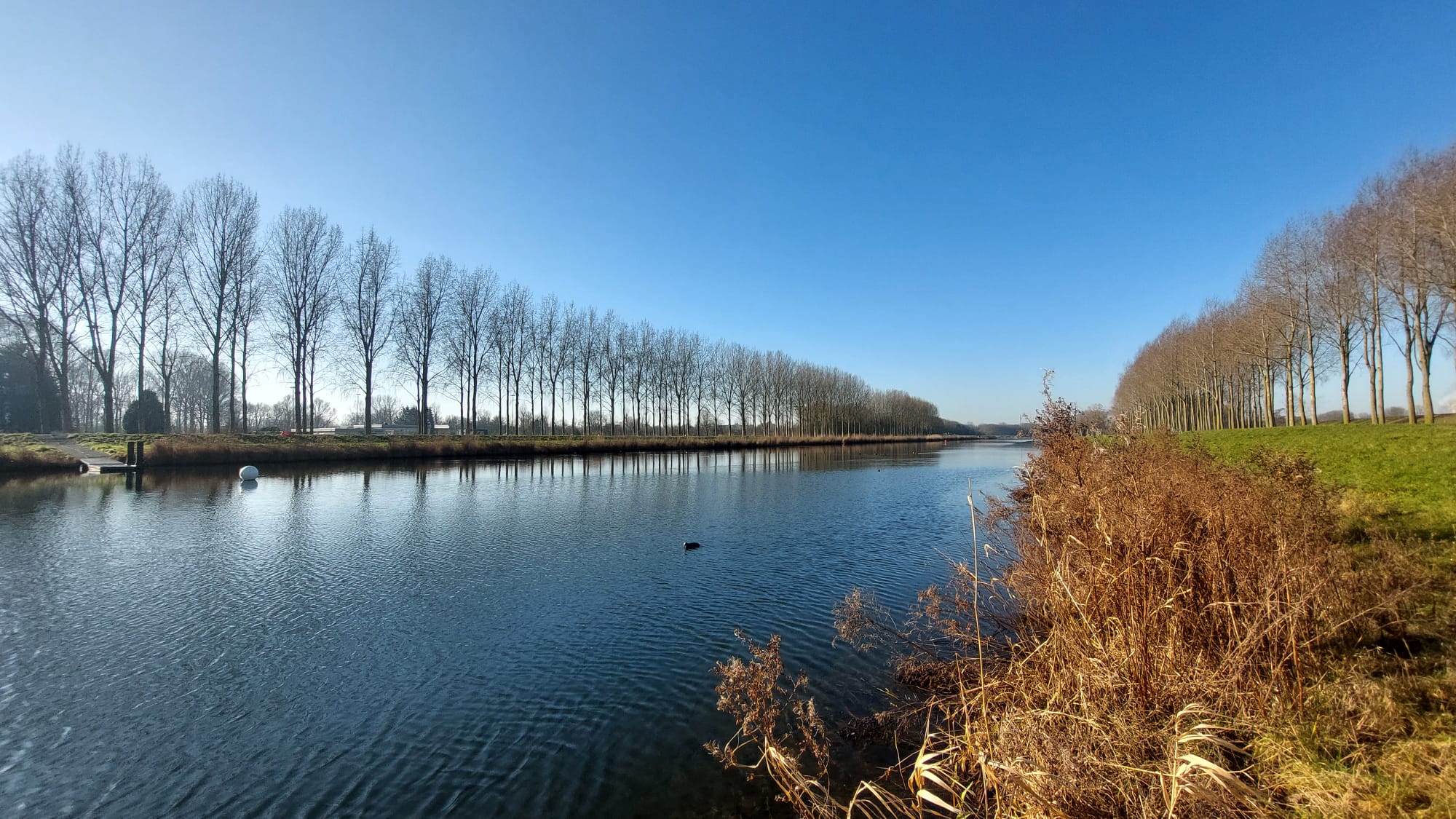 Aquathlon in Spijkenisse: loop- en zwemwedstrijd voor jong en oud